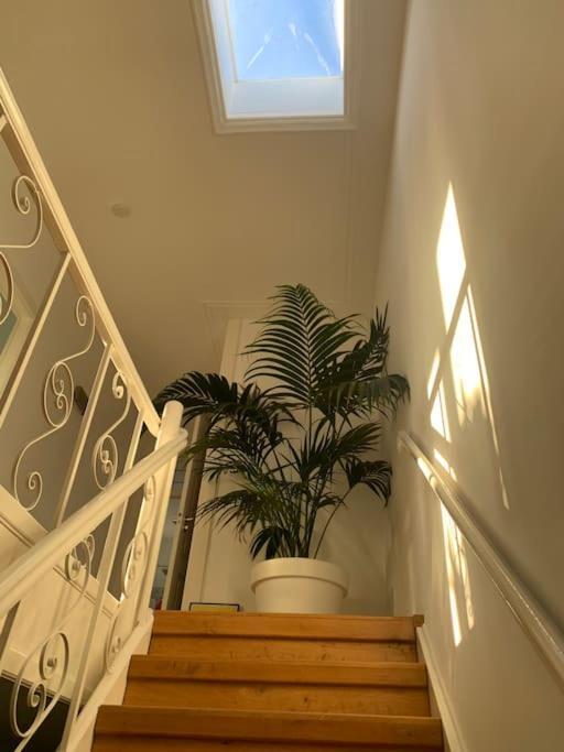 Stylish 3-bdrm Apt. W/ Terraces Next To The * Den Haag