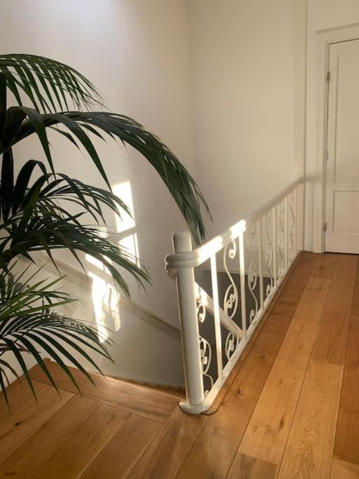 Apartment Stylish 3-bdrm Apt. W/ Terraces Next To The Den Haag